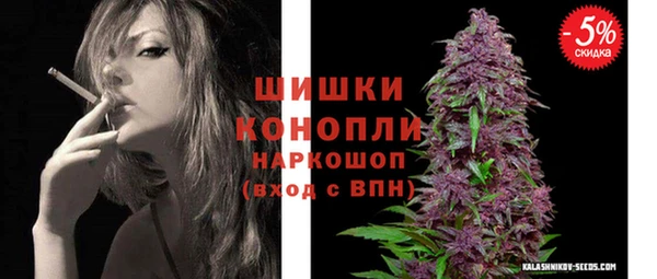 амф Богородицк