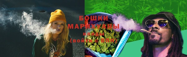 амф Богородицк