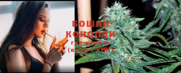 амф Богородицк