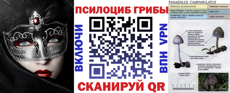 Псилоцибиновые грибы Cubensis Мариинский Посад
